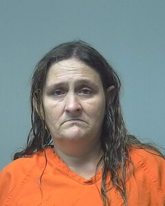 Mugshot of LANE, FELISHIA