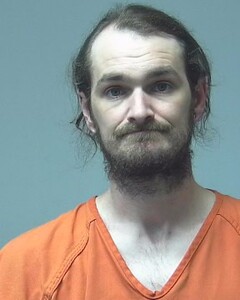 Mugshot of FREEMAN, BOBBY