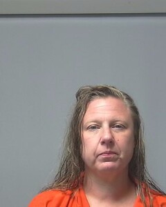 Mugshot of AKINS, JESSICA