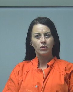 Mugshot of GREGSON, BRANDY