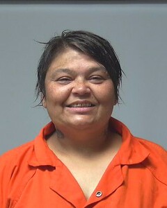 Mugshot of SHEETS, MARY