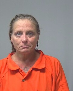 Mugshot of DAVIS, TANIS